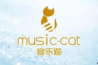 头条马蹄琴音乐推荐,探寻头条推荐中的民族音乐魅力