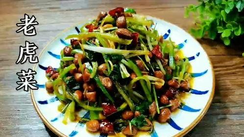51老虎菜吃瓜合集,趣味横生的美食故事大盘点