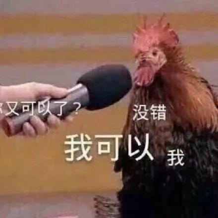 沙雕音乐bgm吃瓜,笑料横飞！