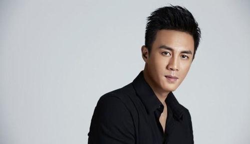 中国帅的男明星,盘点中国娱乐圈帅气男明星风采