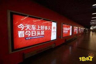 怎么购买今日头条专栏,如何高效购买今日头条专栏