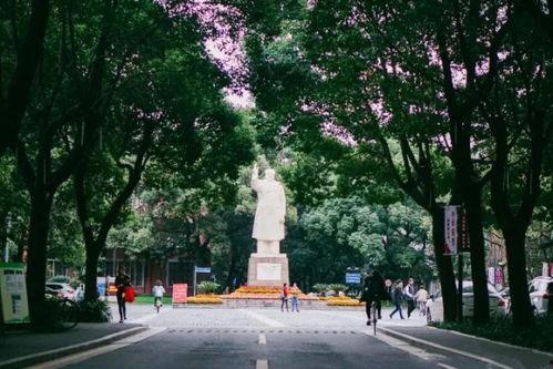 上海市明星学院,上海市明星学院的璀璨教育之旅