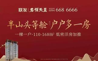 莆田网红团购在哪里,热门美食集结地探秘