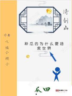 吃瓜事故小说全文阅读,一场意外引发的悬疑风云