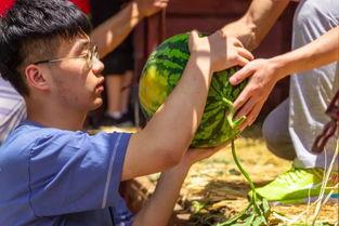 大学野外吃瓜,大学时光里的甜蜜瓜趣