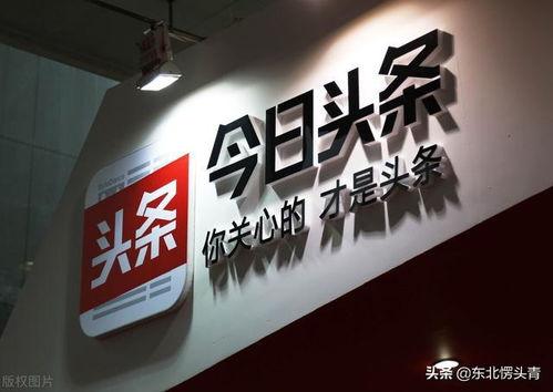 今日头条啊青,揭秘短视频界的黑马崛起之路”