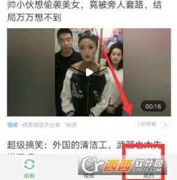 头条歌曲我的收藏,探寻音乐记忆的时光隧道