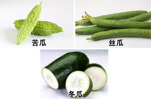 入伏吃哪三瓜,清凉一夏养生秘籍