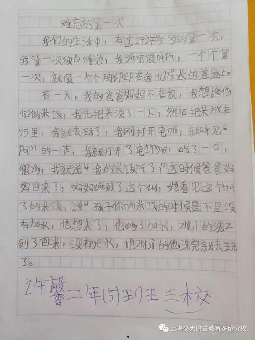 另类明星作文,闪耀在娱乐圈的独特光芒