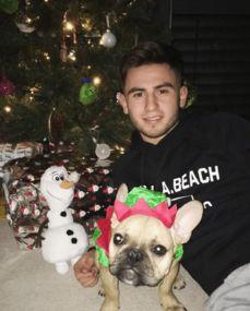 豪七明星犬,闪耀娱乐圈的忠诚伙伴