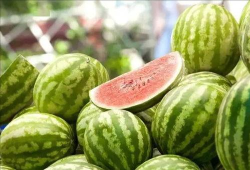 爱拍照的玉老师什么瓜,揭秘拍照狂热背后的故事