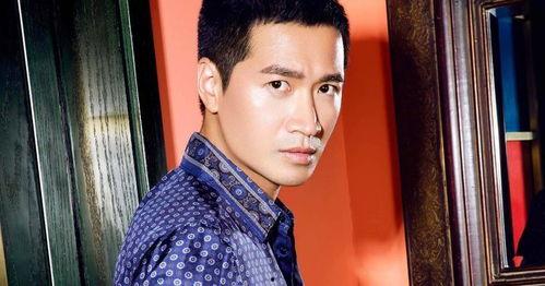 二字明星,揭秘我国二字明星的璀璨人生”