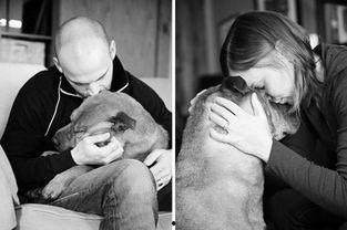 亲昵 在线观看,亲昵在线观看，浪漫情感尽收眼底