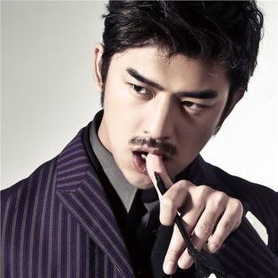 陈柏霖几线明星,跨越一线界限的璀璨星途