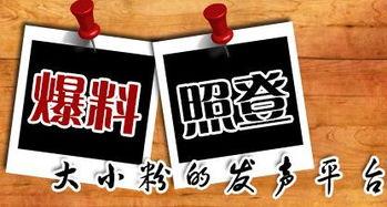 合川新闻爆料,揭秘当地热点事件背后的真相