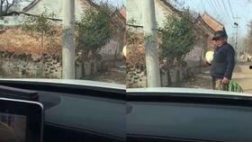 吃瓜的舅姥爷,一场关于美食与亲情的温馨之旅