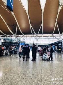 浦东机场明星,明星闪耀的空中门户