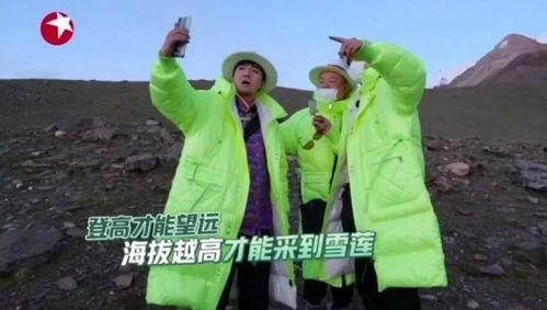 明星采摘兔子上节目,星光熠熠的兔子采摘之旅