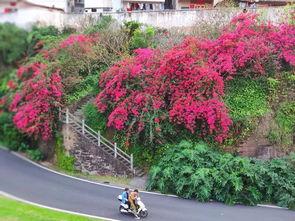 罗定网红地点,探寻这座城市的魅力新地标